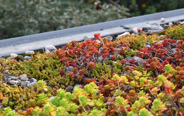 the cost of Summerlands green roof installation