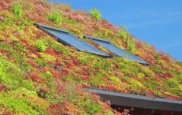 Summerlands living roof systems