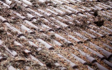 Summerlands roof cleaning companies